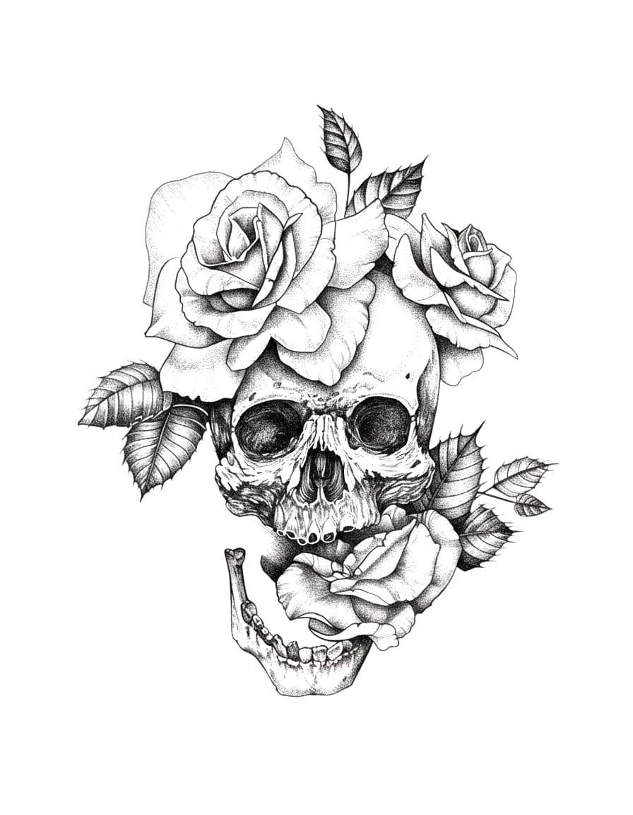 Stippled blackwork tattoo design of a human skull with blooming roses.